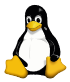 Linux Server